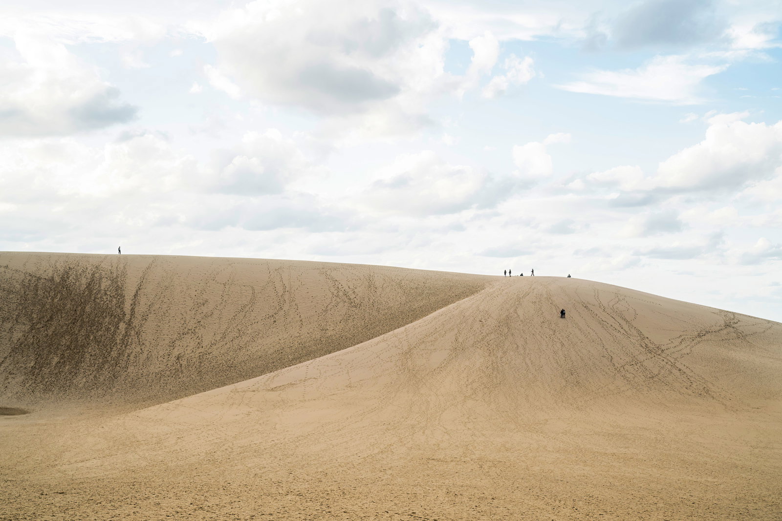 鳥取砂丘の砂の斜面を歩く観光客と曇り空