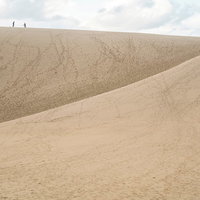 蟻のように見える観光客と鳥取砂丘の雄大な風景の写真