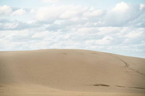 厚い雲が覆う鳥取砂丘の風景と砂地の起伏
