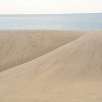 鳥取砂丘から望む日本海と水平線、雄大な砂丘の風景の写真