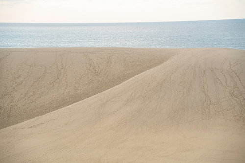 鳥取砂丘から望む日本海と水平線、雄大な砂丘の風景