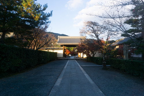 石畳の先に見える朝日を浴びて輝く天龍寺中門