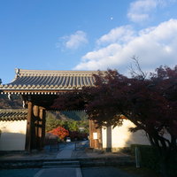 朝日を浴びて建つ天龍寺の中門と空に小さく残る月の写真