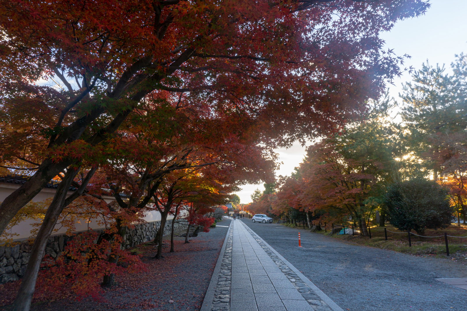 天龍寺の石畳の参道を紅葉が彩る秋の風景、奥に中門が見える