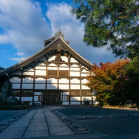 朝の光を浴びて白い壁がまぶしく光る天龍寺の庫裏の写真