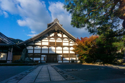 朝の光を浴びて白い壁がまぶしく光る天龍寺の庫裏