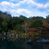曹源池のほとりに立つ紅葉した木々と滝石組の写真