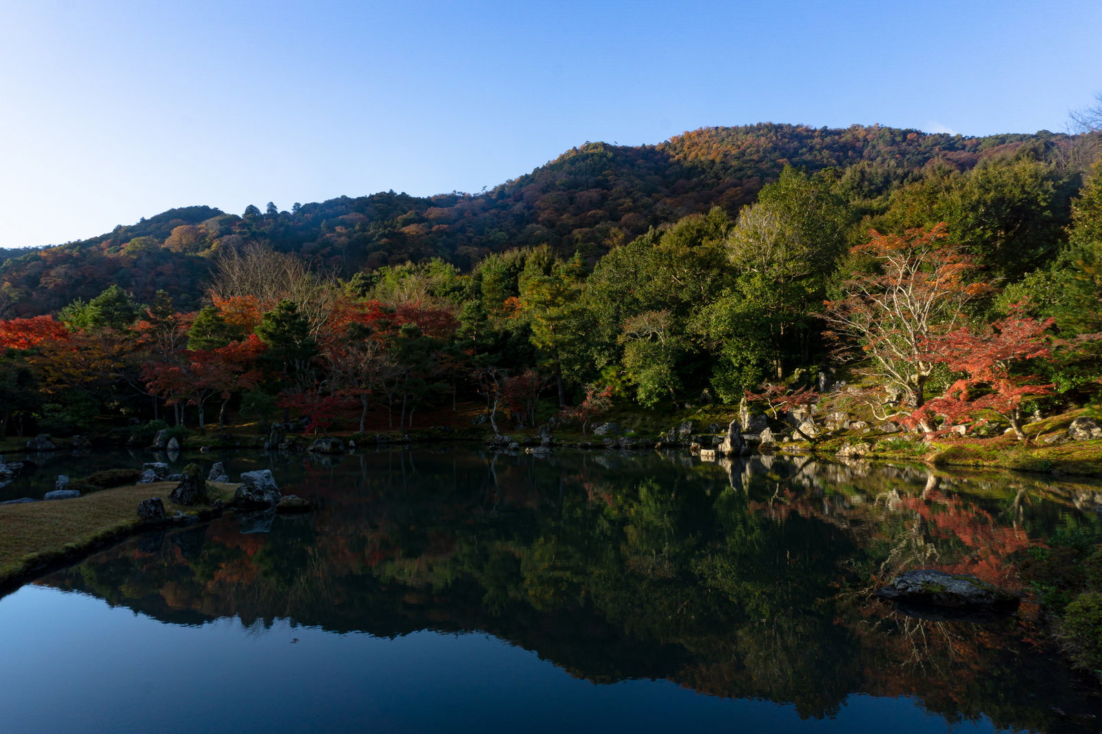 曹源池の水面に紅葉と青空が映り込む天龍寺庭園の風景