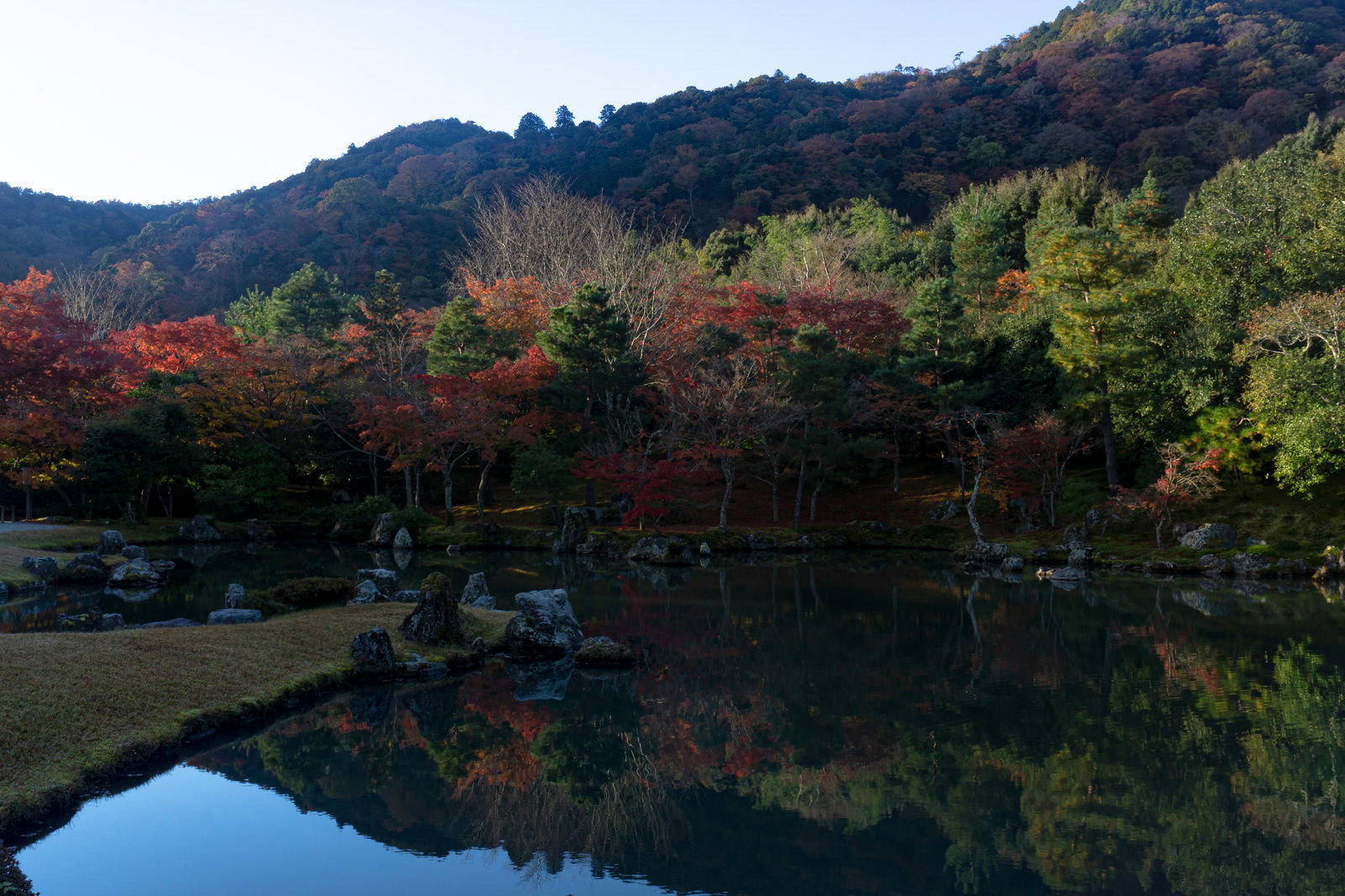 朝日に照らされた池と紅葉の山々が水面に映る天龍寺曹源池庭園