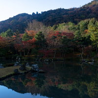 差し込む朝日に照らされる池を囲む木々の写真