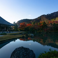 美しい曹源池庭園を大方丈前から熱心に撮影する多くの観光客の姿の写真
