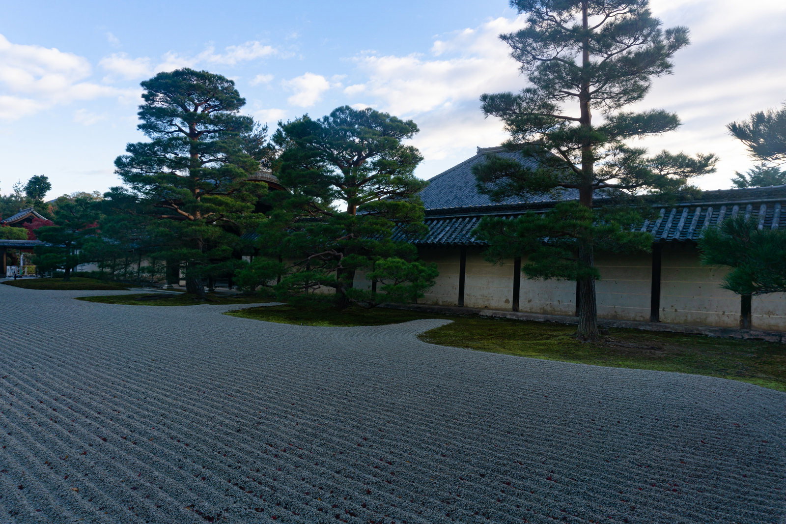 朝日が当たる前の天龍寺石庭。白砂と松の木、瓦屋根の建物