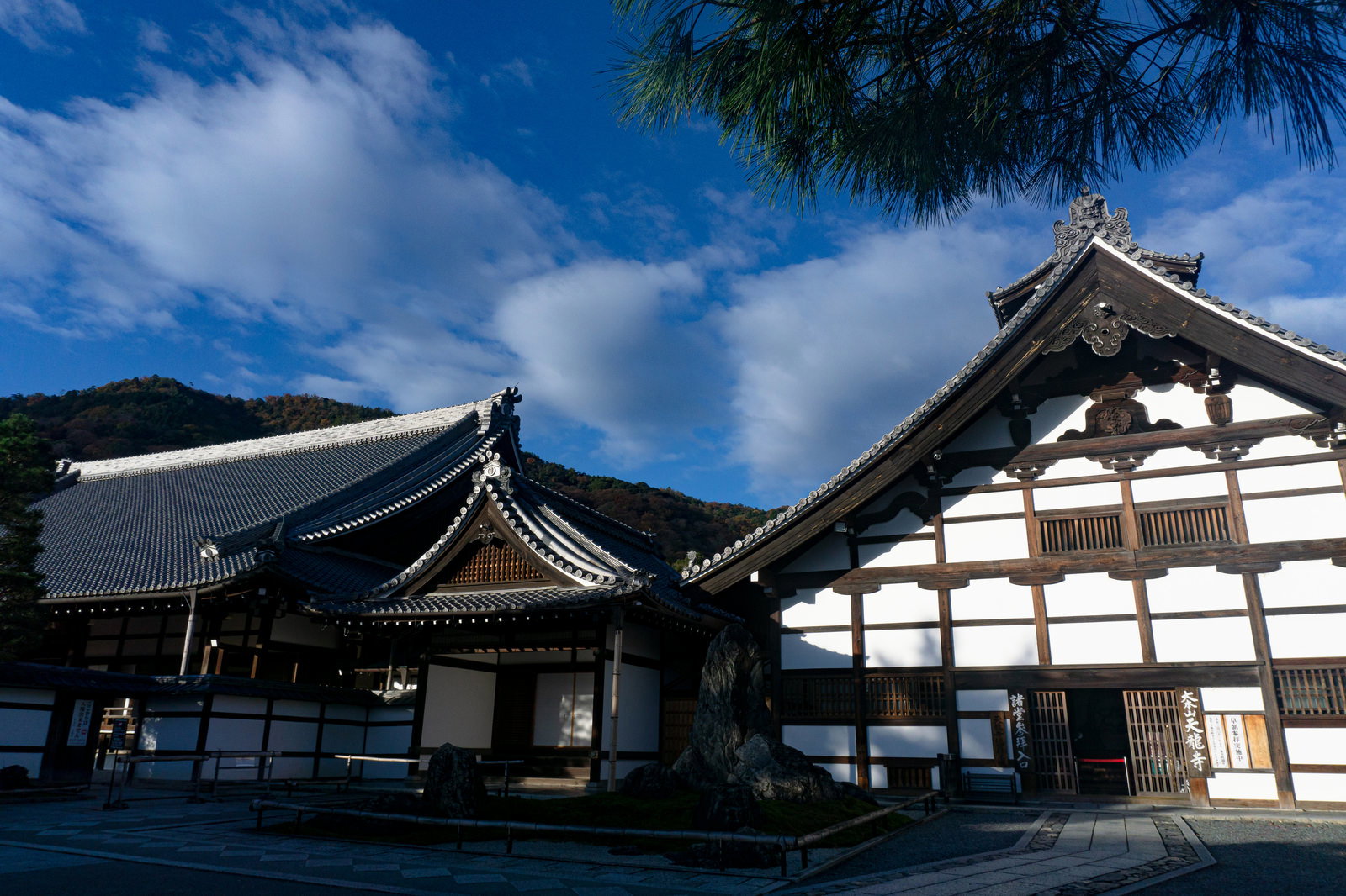 日の光を受けて光る天龍寺の庫裏の白い壁と大方丈