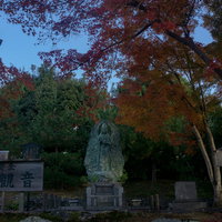 紅葉の下に立つ飛雲観音の写真