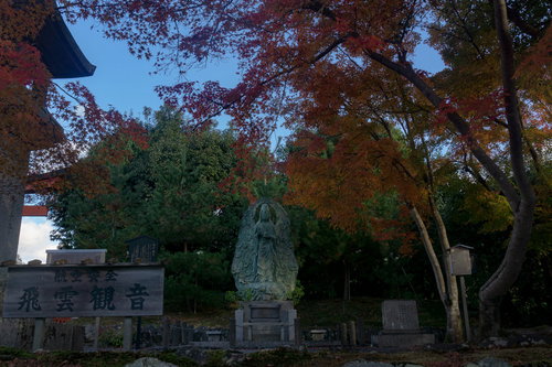 紅葉の下に立つ飛雲観音