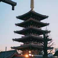 焼けてきた空と浅草の五重塔 夕暮れのシルエットの写真