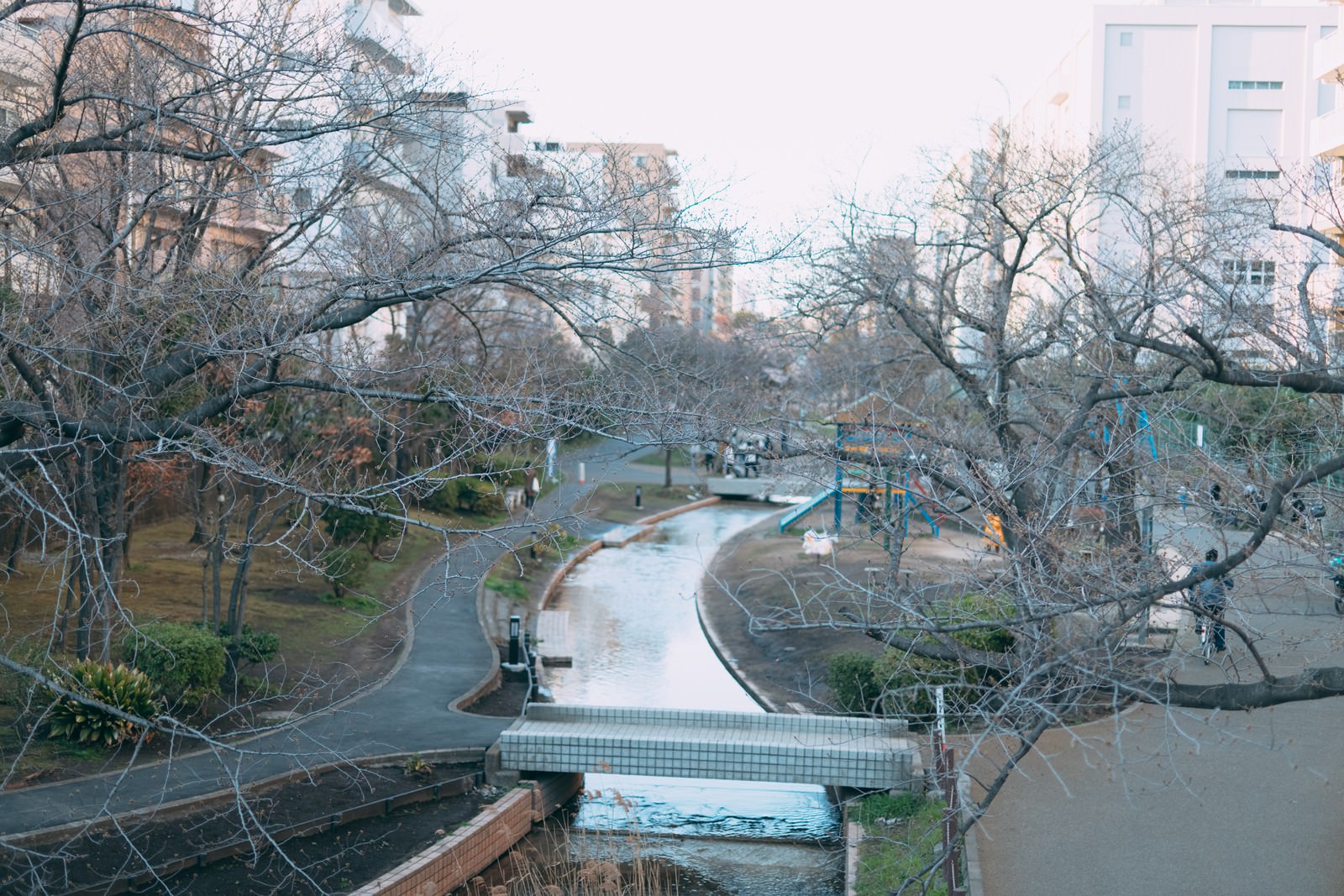 公園内を流れる小川沿いに葉を落とした木々が立ち並ぶ冬の風景