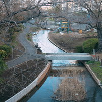 公園内を流れる小川（横川）と周囲の木々・遊歩道の風景の写真
