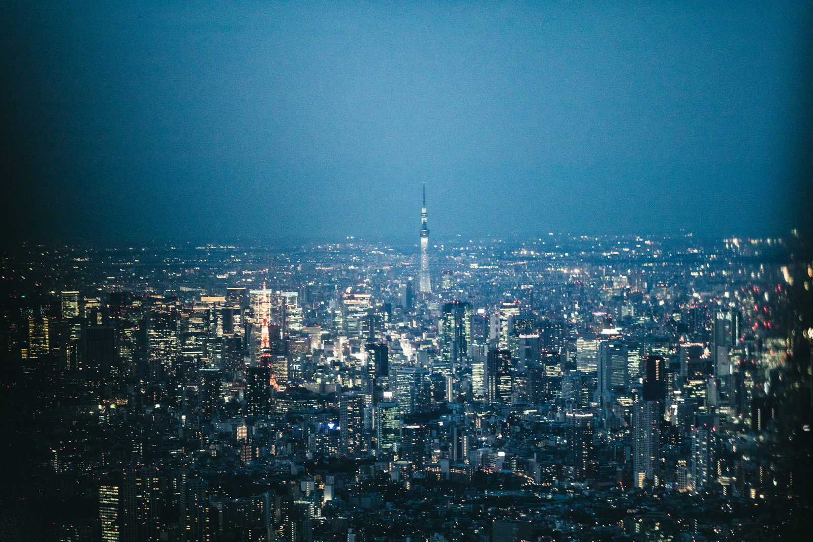 東京タワーとスカイツリーが見える東京都心の夜景
