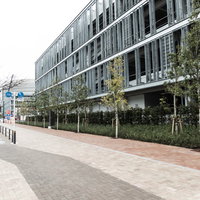 豊洲市場の小口買参棟と赤茶色のレンガ舗装歩道の写真