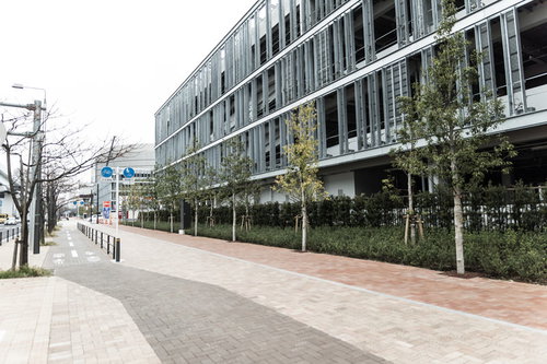 豊洲市場の小口買参棟と赤茶色のレンガ舗装歩道