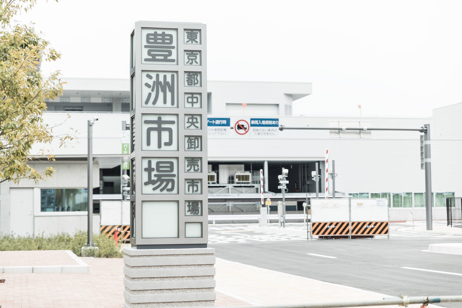 豊洲市場の入口看板と白い建物の外観