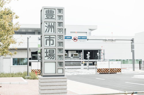 豊洲市場の青果門案内と白い建物の施設全景