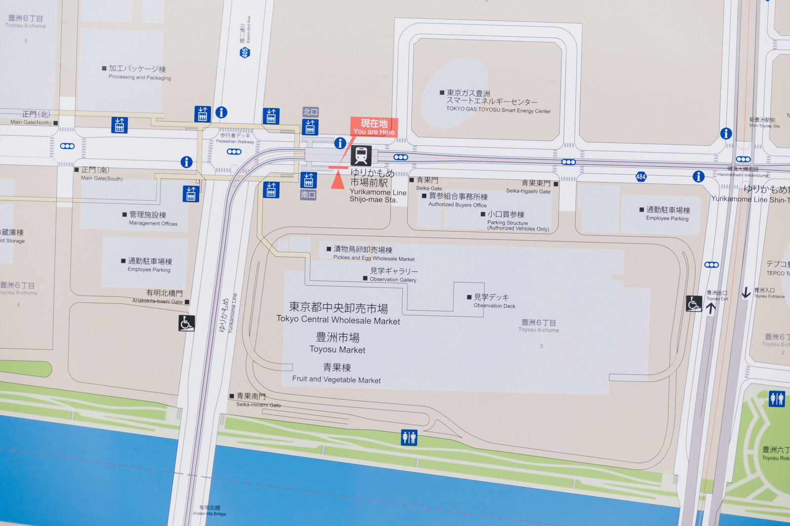 ゆりかもめ市場前駅の豊洲市場周辺案内地図