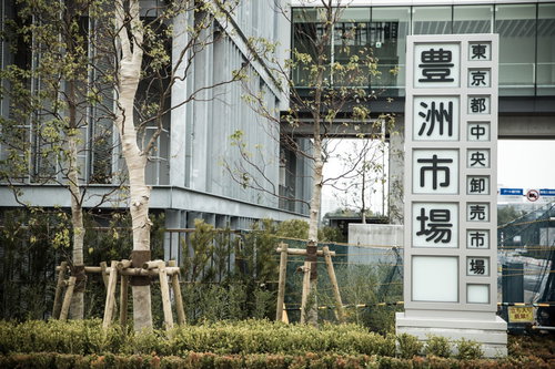 豊洲市場の正門南側の案内看板と建物