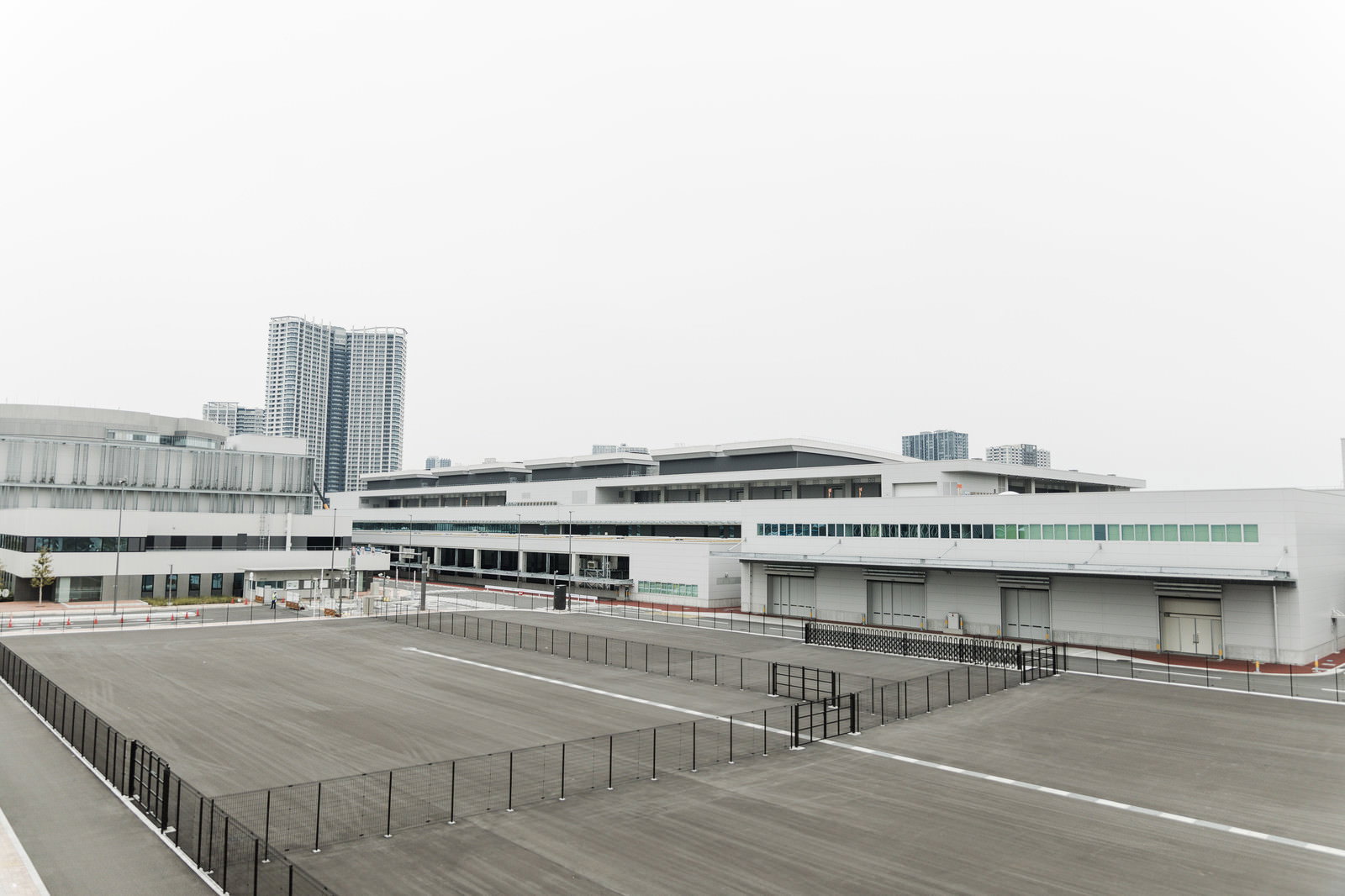 開場前の豊洲市場の全景