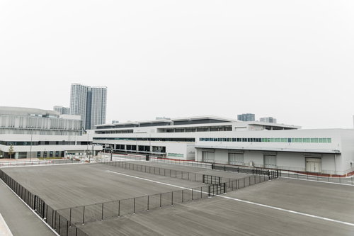 開場前の豊洲市場の全景と広大な施設