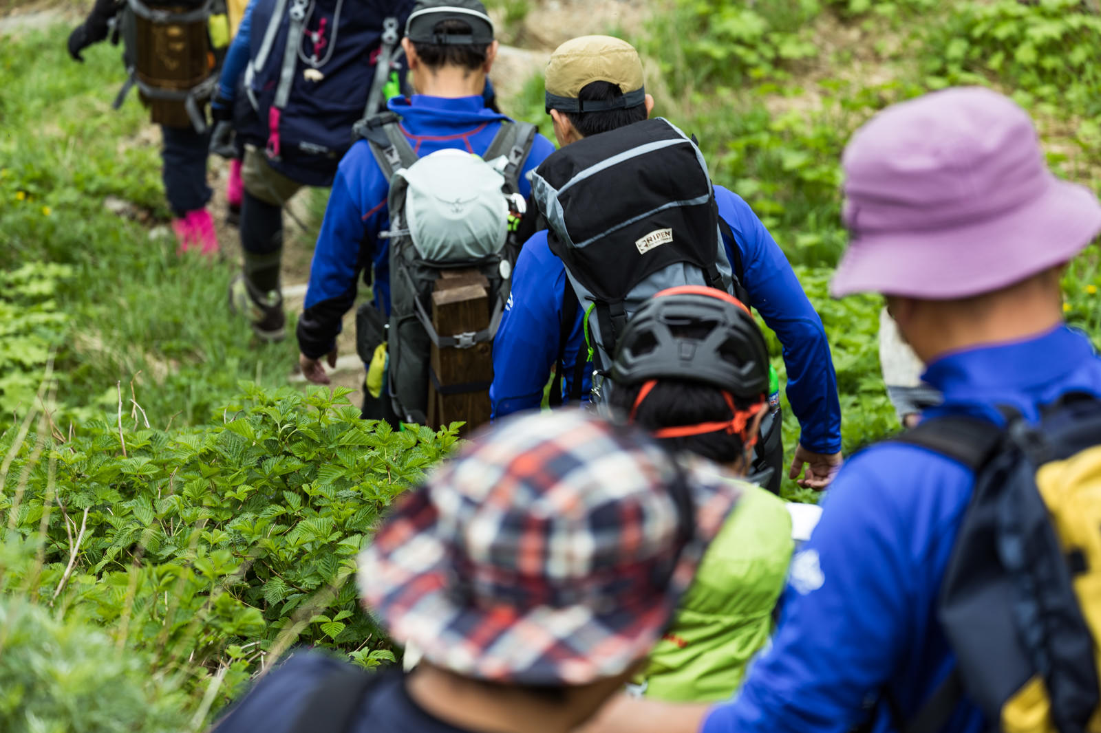 登山道を一列になって下山する複数の登山者たちの後ろ姿