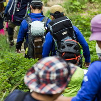 乗鞍新登山道を列を作って下山する登山者たちの写真