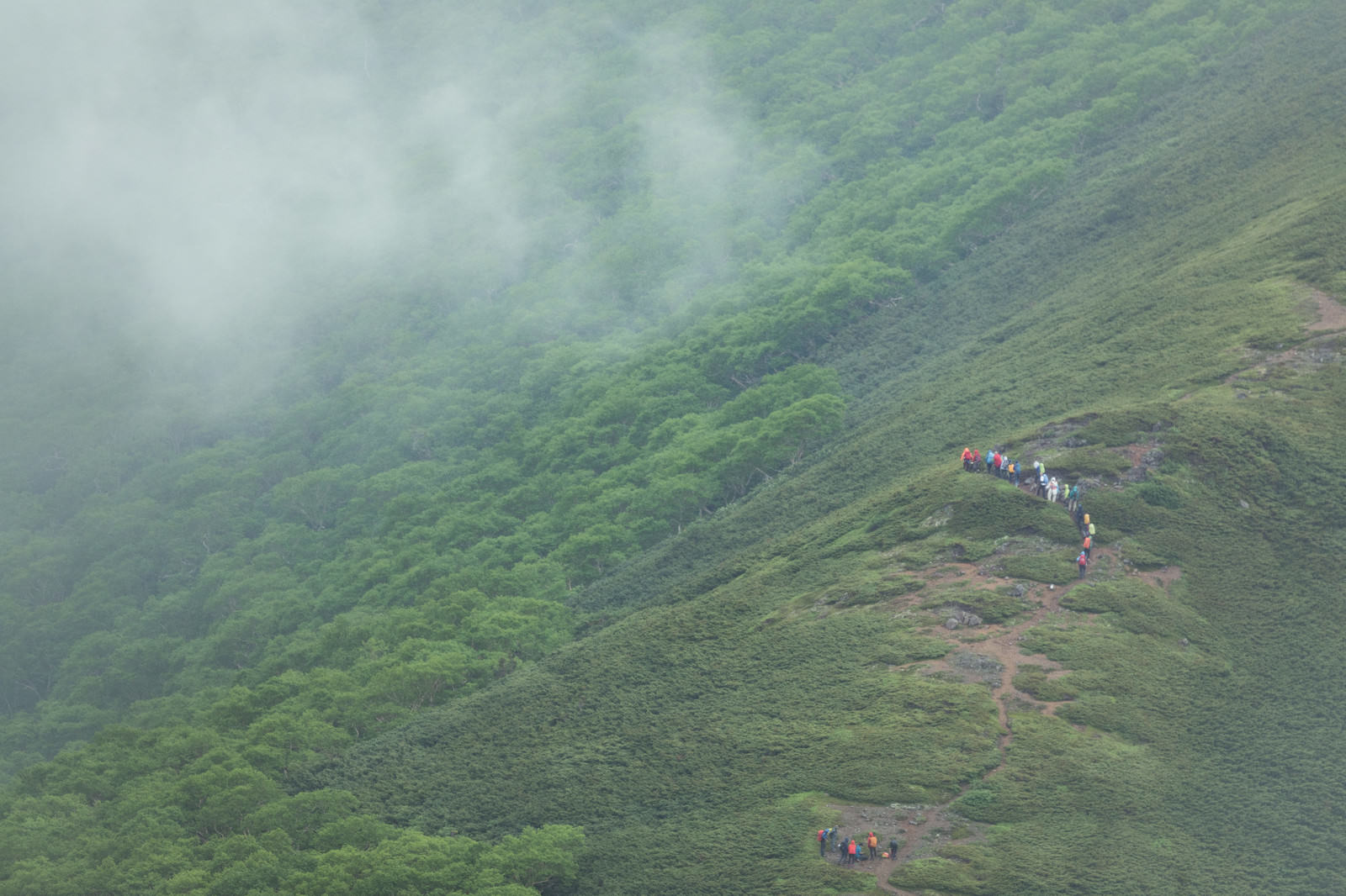 霧に包まれた森林限界付近の山道を歩く登山者たちの様子