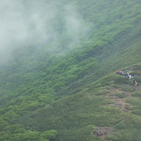 乗鞍新登山道の森林限界付近を歩く登山者達の写真