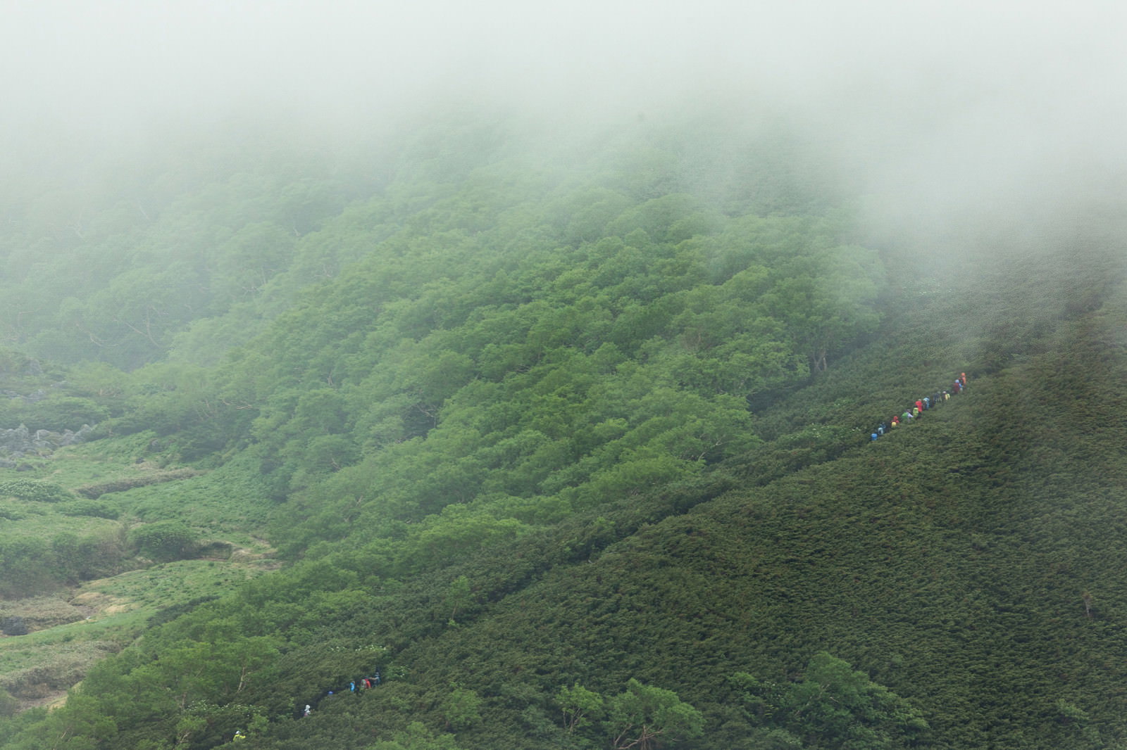 霧で視界が悪い山道を歩く登山者たちの後ろ姿