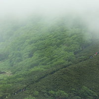 霧がかかり視界の悪い山の中をすすむ登山者一行の写真