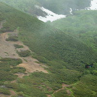 新緑の乗鞍新登山道を歩む登山者の後ろ姿と初夏の山々の写真