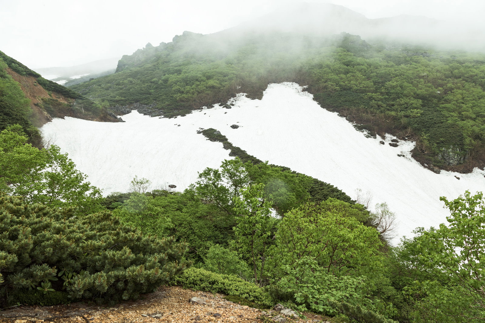 残雪が点在する乗鞍岳の緑豊かな山間を霧が包む山岳風景
