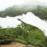 乗鞍新登山道の雪が残る山間の絶景、森林限界を超えた高山風景の写真
