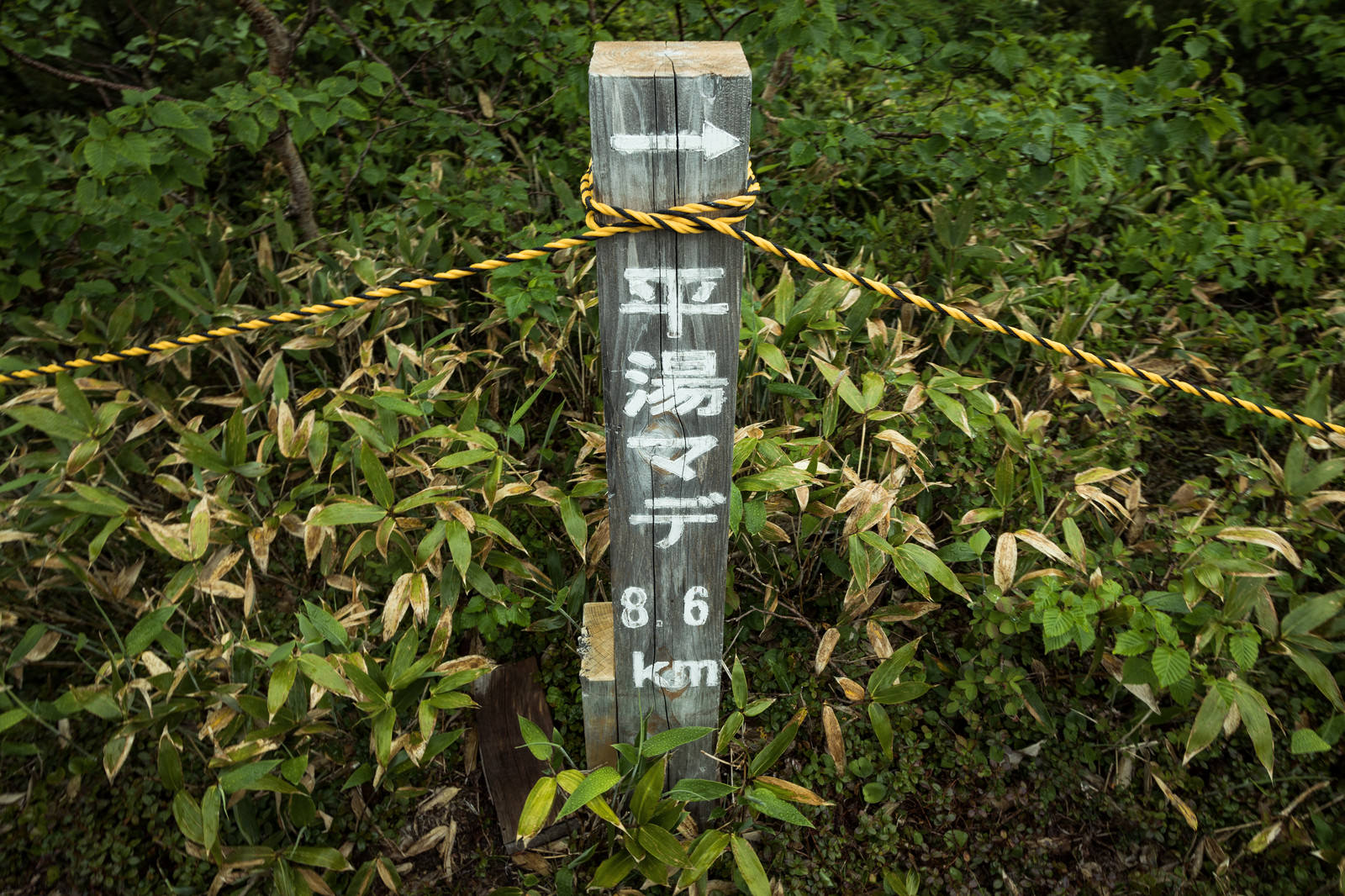 乗鞍新登山道の平湯まで8.6kmを示す木製の道標