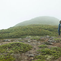 森林限界の傾斜がある登山道を歩く登山者の姿の写真