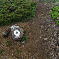 乗鞍新登山道の登山道に設置された白い目印の写真