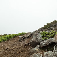 乗鞍新登山道で霧に包まれた山道と高山植物の景観の写真