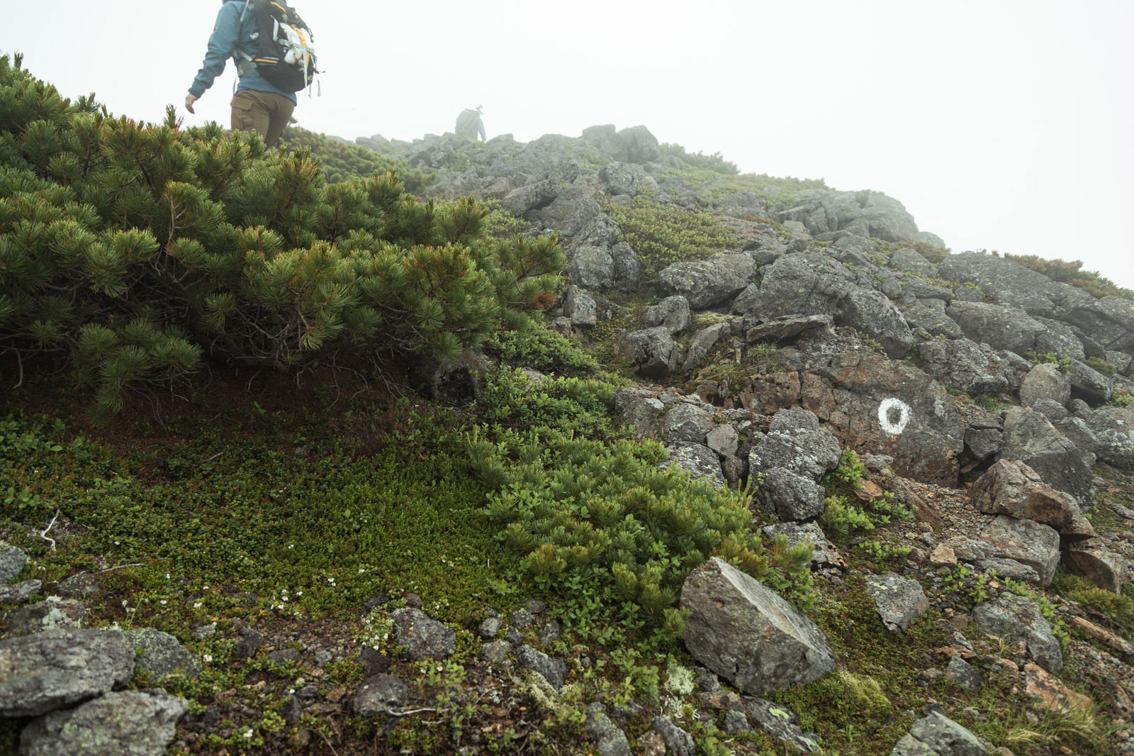 緑の植生に囲まれた岩場の登山道を歩く登山者
