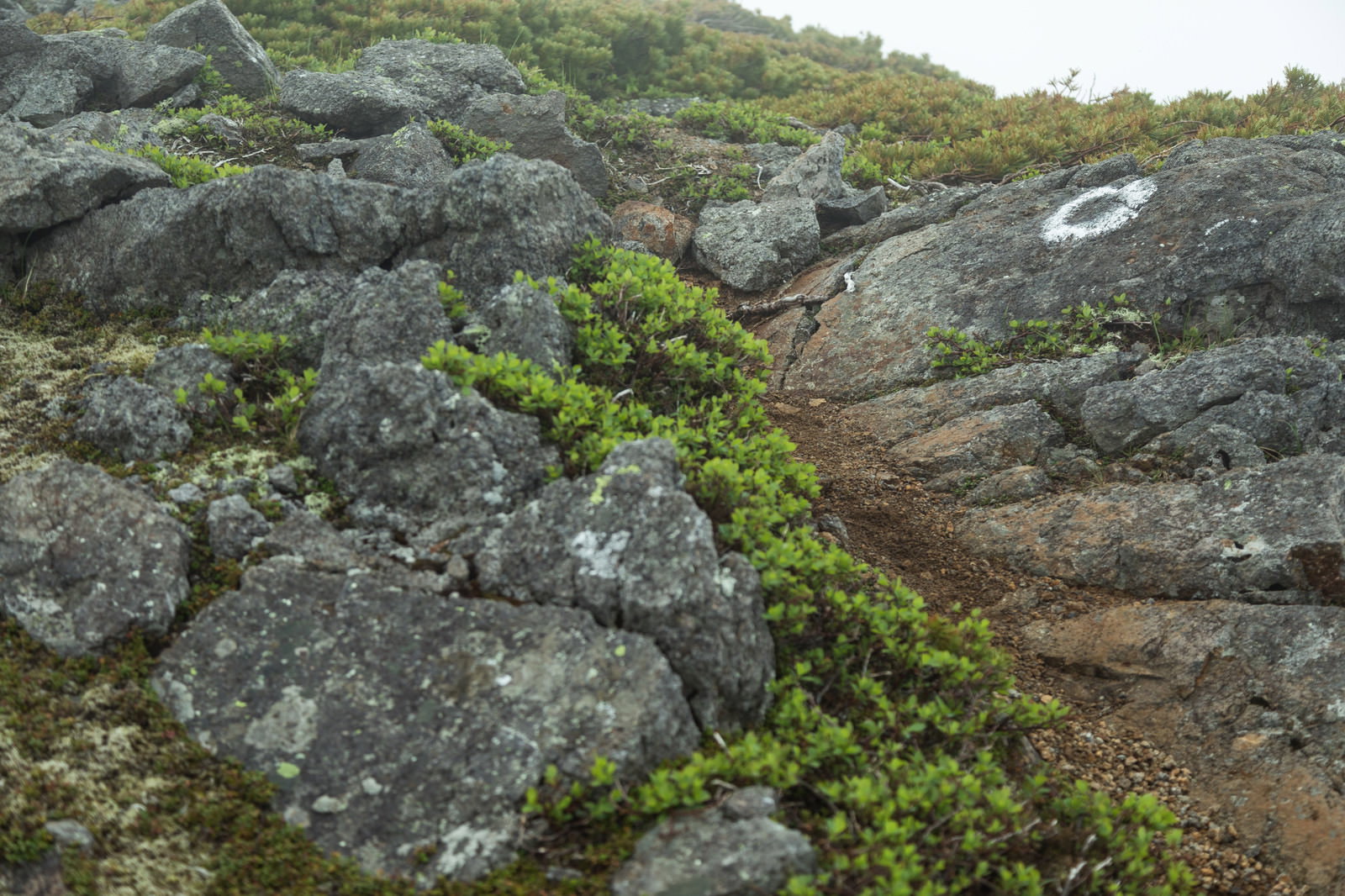 霧の岩場を登る登山者（乗鞍新登山道）