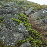 乗鞍新登山道（硫黄岳付近）を行く登山者の写真