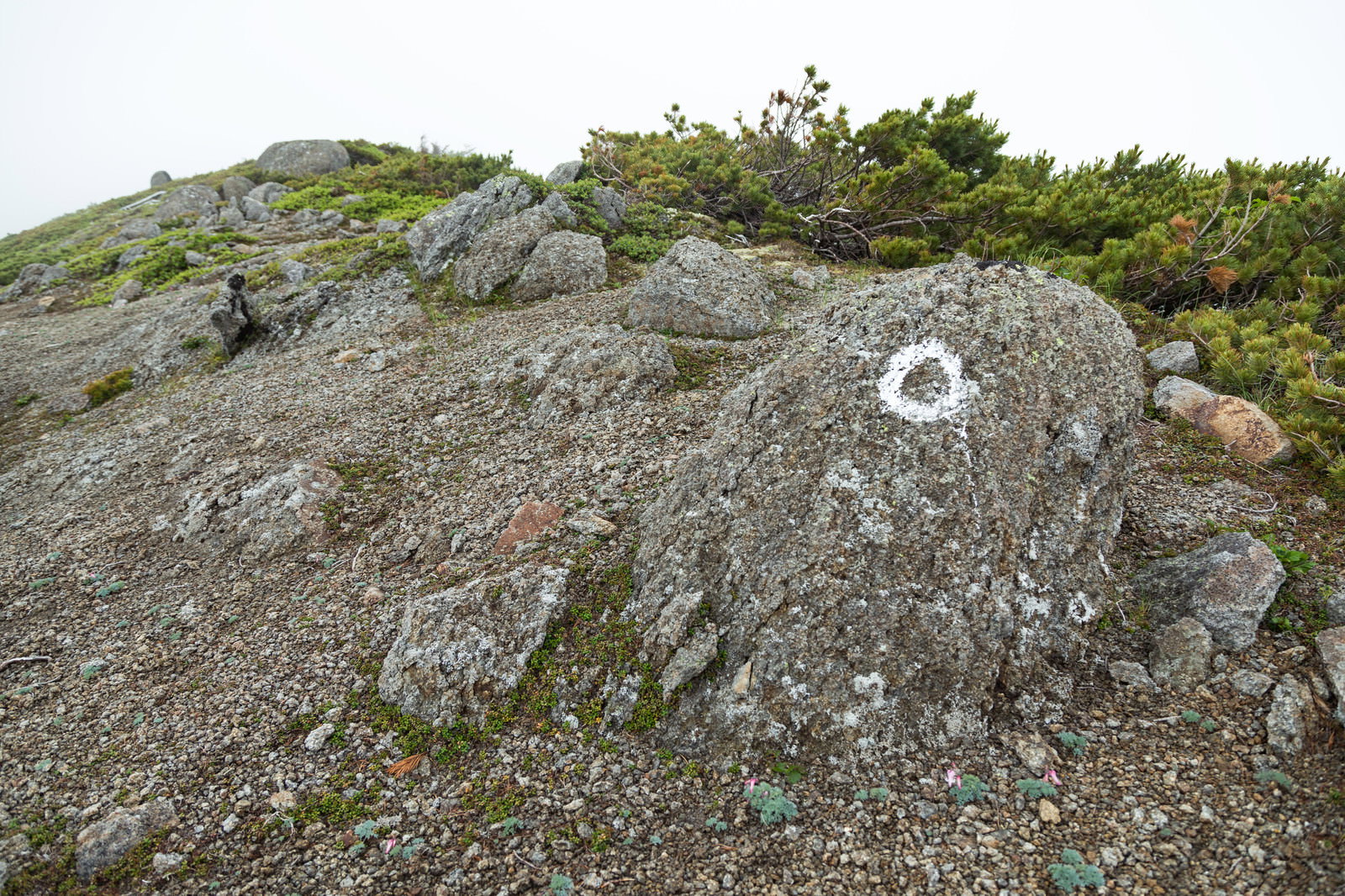 乗鞍新登山道の岩に描かれた白い丸印