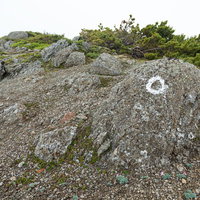 乗鞍新登山道の登山ルートの目印が書かれた岩の写真