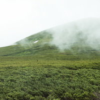 ガスりはじめた乗鞍新登山道の山（森林限界）の写真